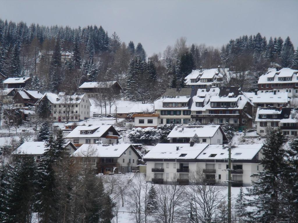 Pension Restaurant Waldblick Feldberg (Baden-Wurttemberg) Bagian luar foto