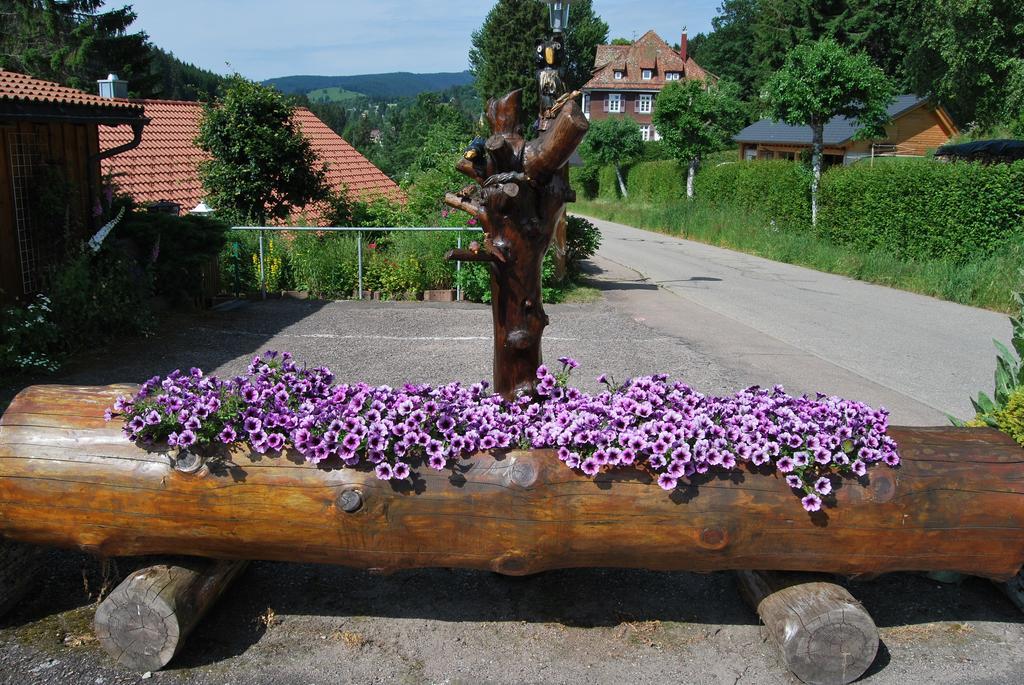 Pension Restaurant Waldblick Feldberg (Baden-Wurttemberg) Bagian luar foto